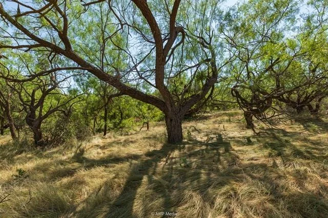 Photo of 1363 County Road 441