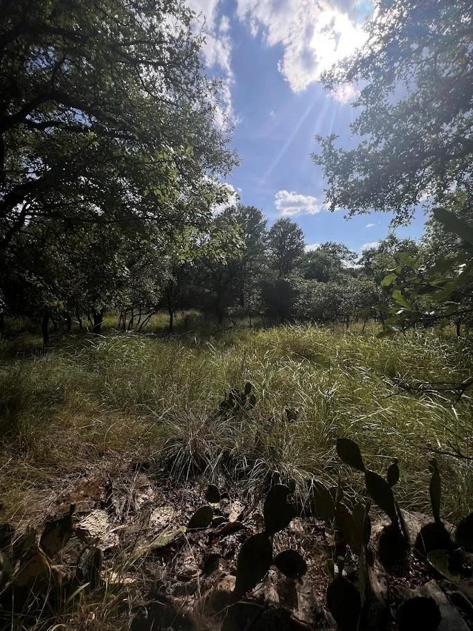 Photo of 927 Cutter Circle