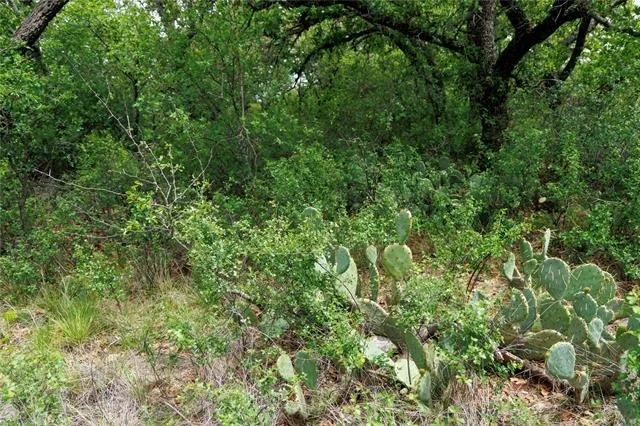 Photo of 502 Co Rd 127