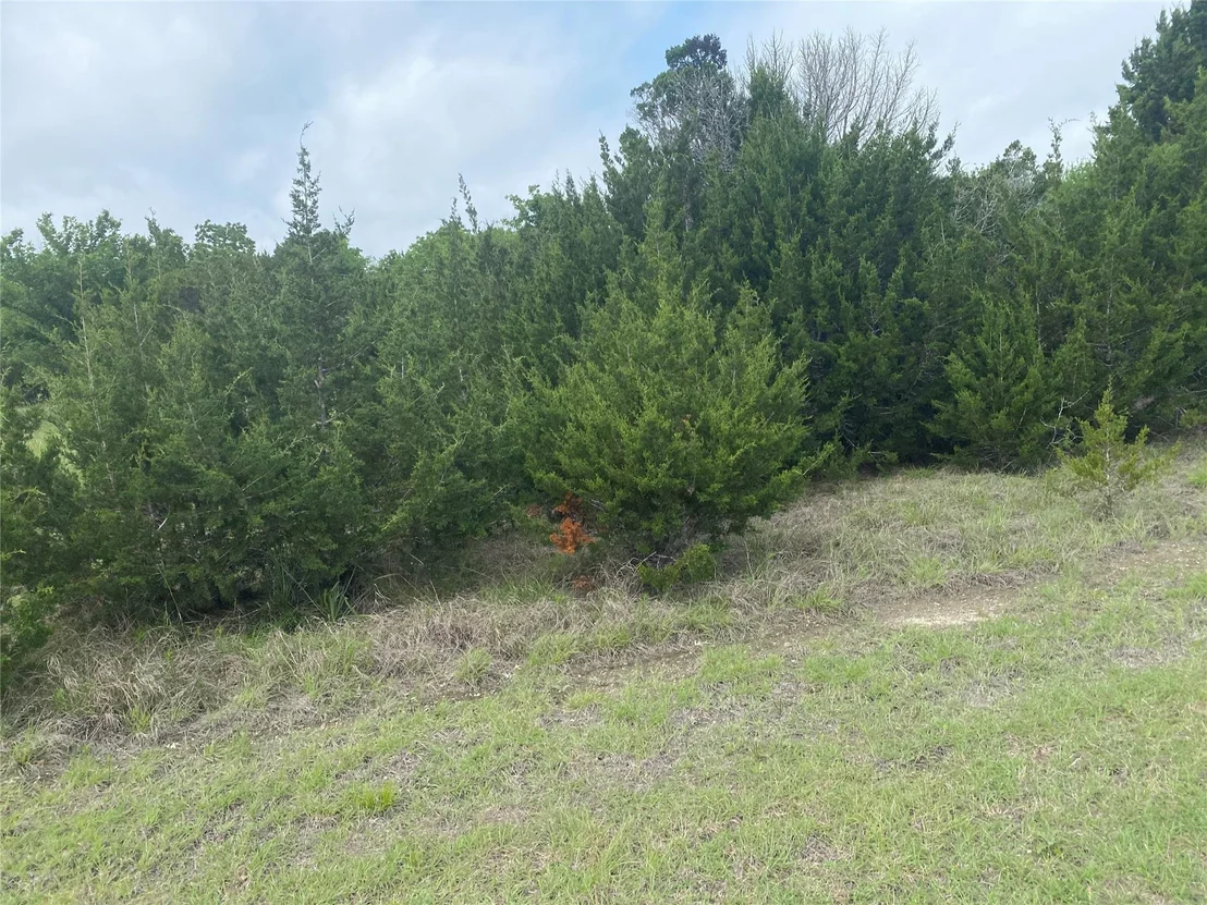 Photo of 34045 Stonewood Drive