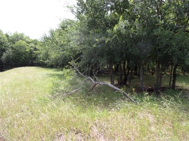 Photo of 4188 Willow Oak Bend