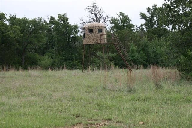 Photo of 2701 Live Oak Road