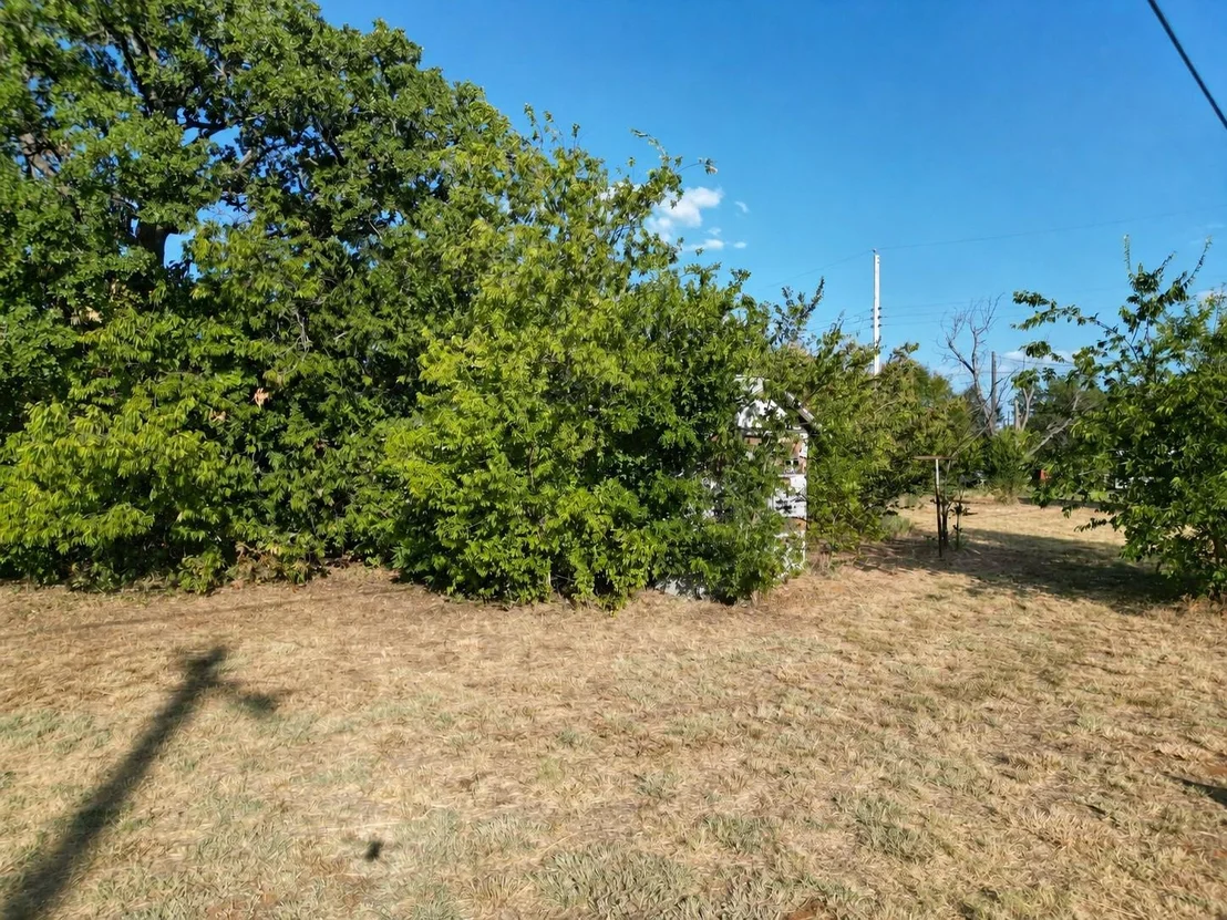 Photo of 1301 Avenue A