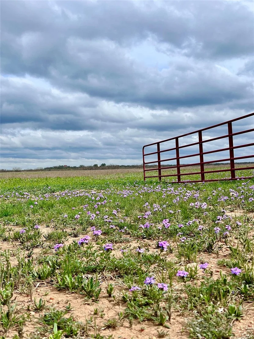Photo of TBD 212 Acres CR 498