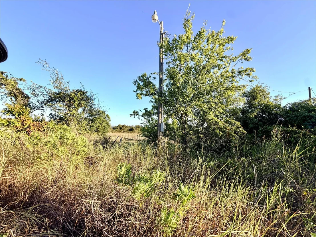 Photo of 37 Pr 224