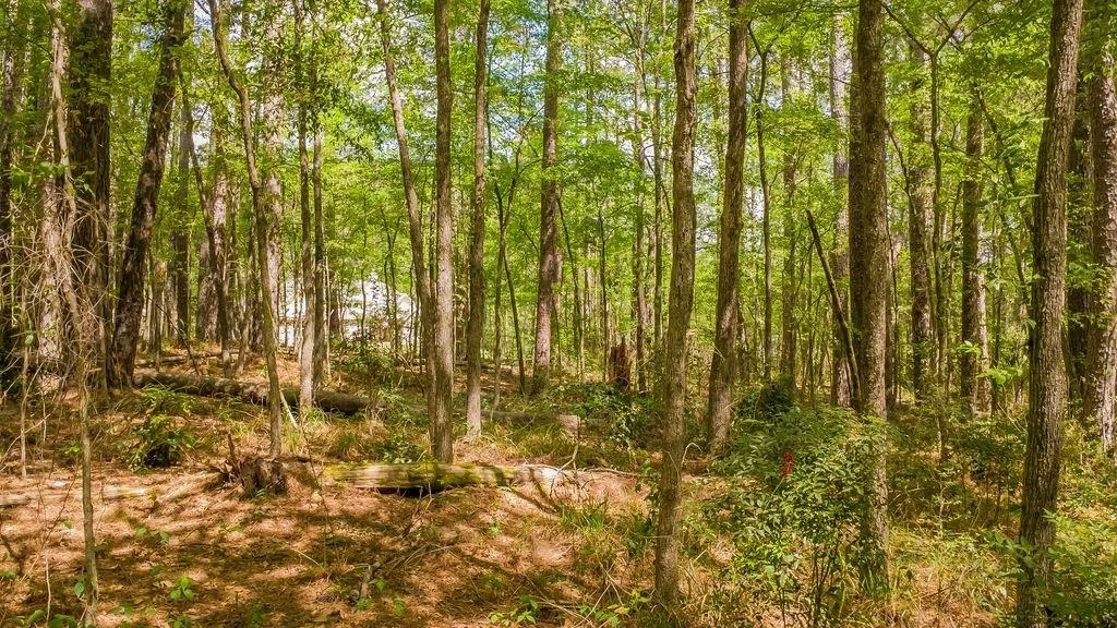 Photo of 1723 Pineview Lane