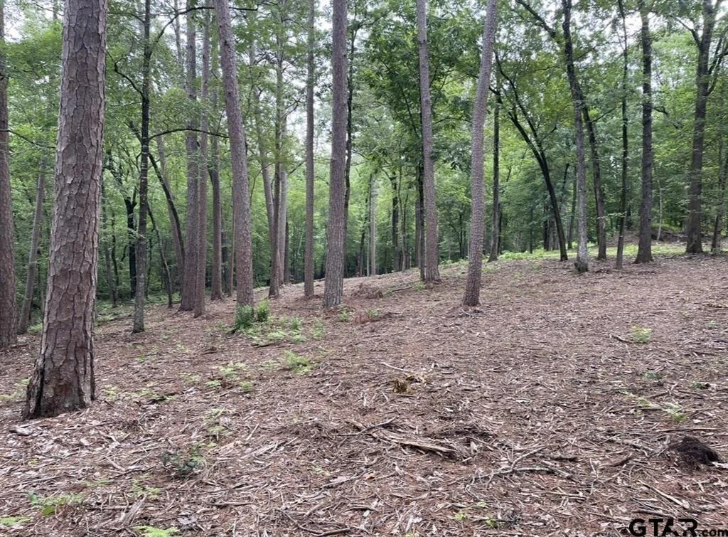 Photo of 1688 County Road 1597