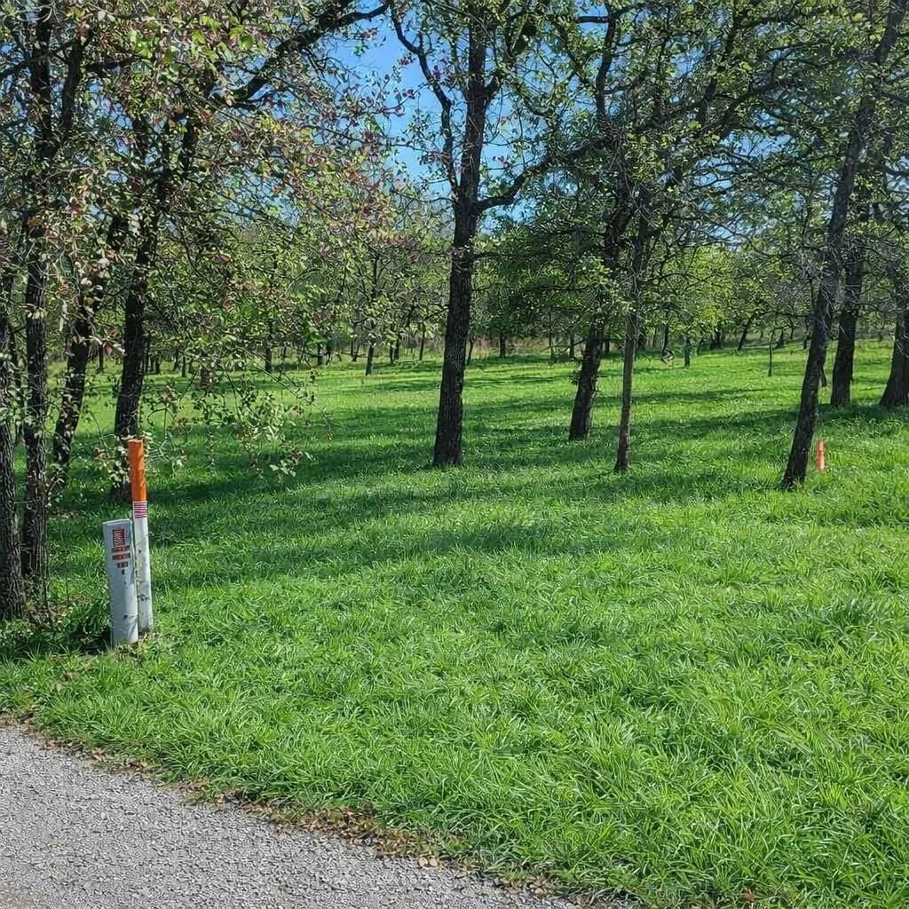 Photo of 196 Johnston Lane