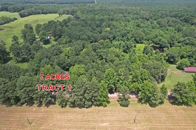 Photo of Tract 1 County Road 3117
