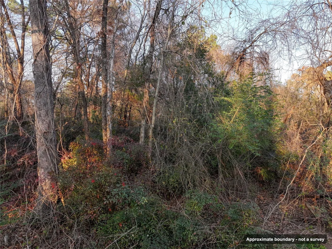 Photo of 144 Circle Drive