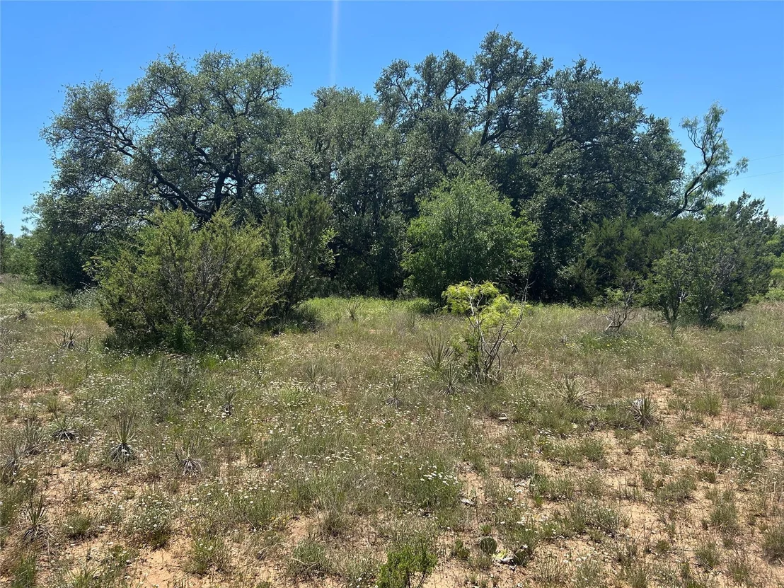 Photo of 824 CR 409