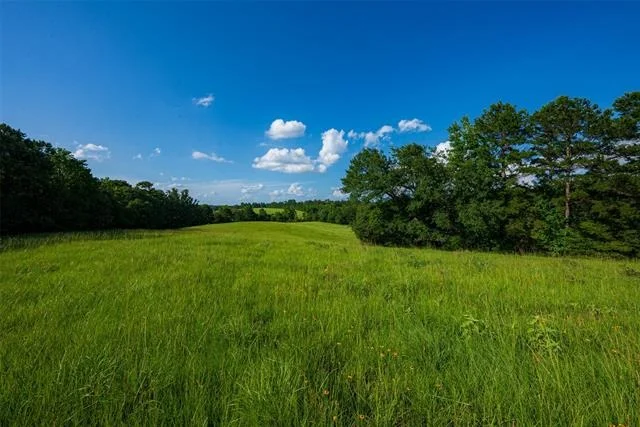 Photo of 2030 County Road 1640