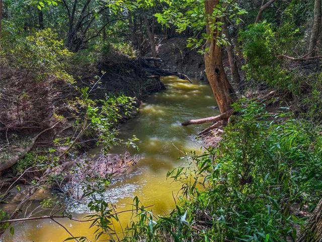 Photo of 524 County Road 453