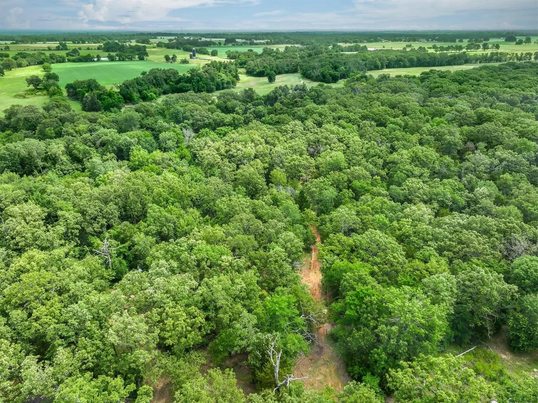 Photo of 950 VZ County Road 1919