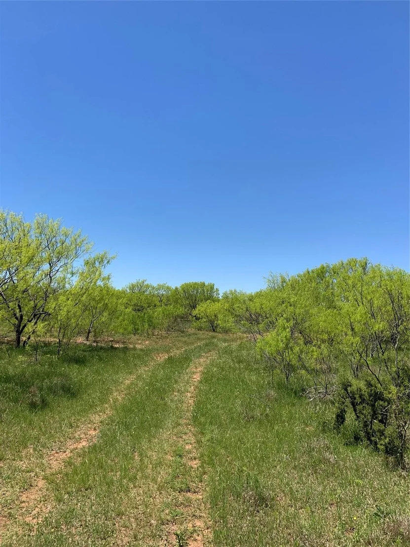 Photo of 9998 Hwy 67-84
