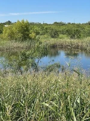Photo of 912 O D Lane
