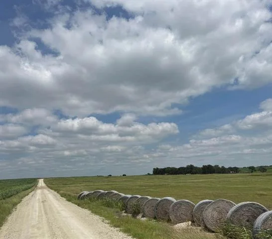 Photo of 509 County Road 378