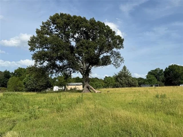 Photo of 13658 Woodridge