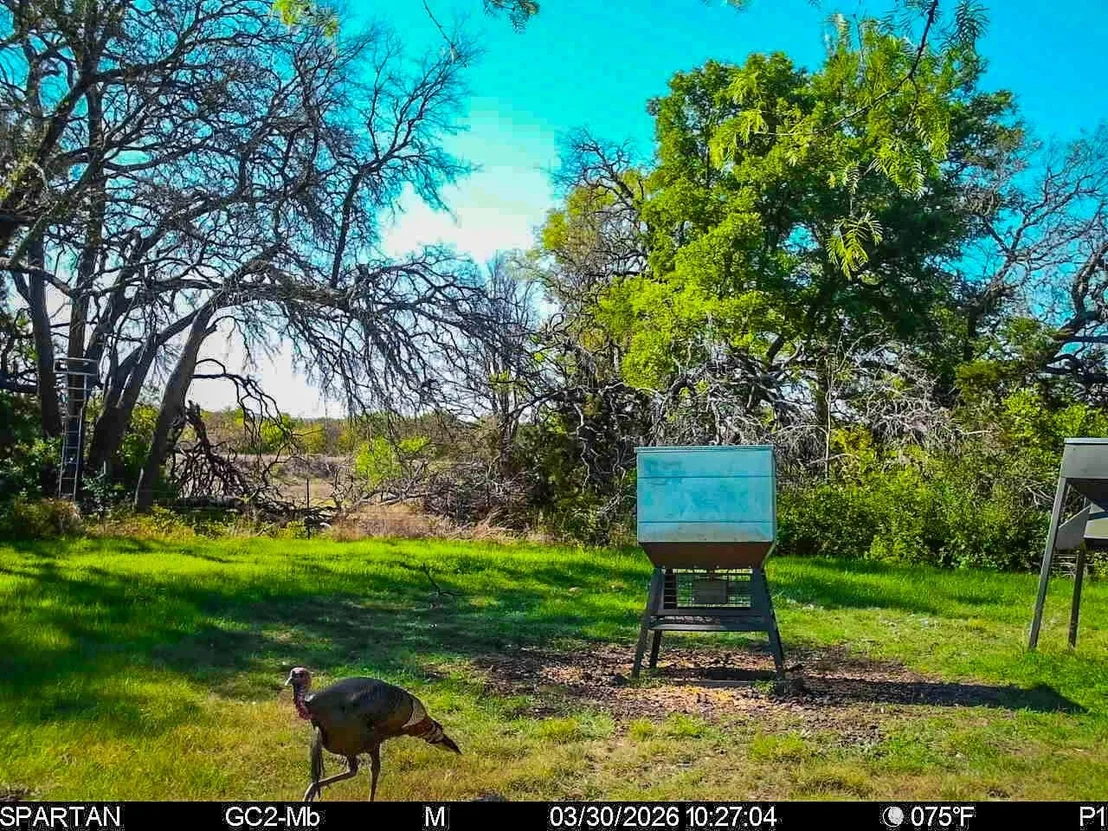 Photo of 3601 County Road 188