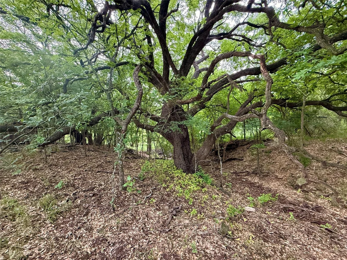Photo of 417 CR 415