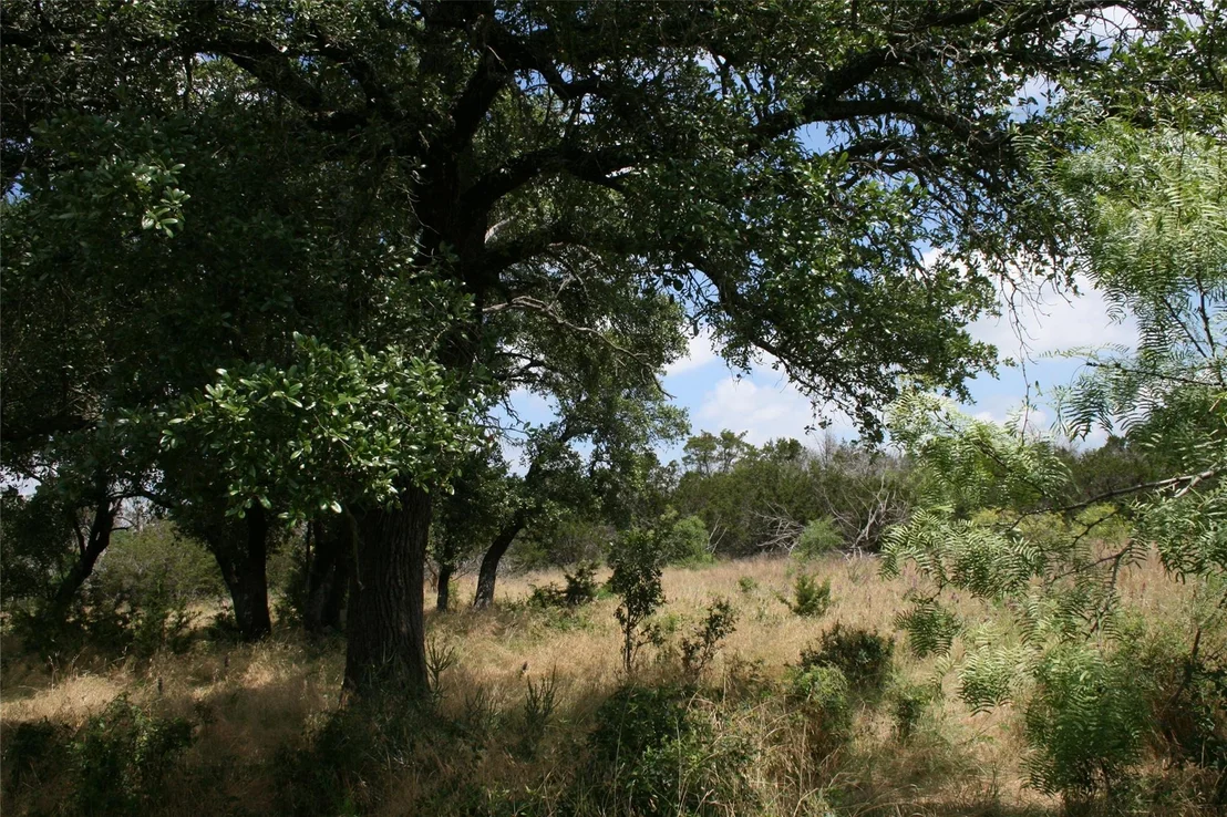 Photo of 464 Upper Brad Road