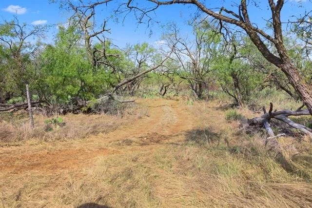 Photo of 1078 County Road 498