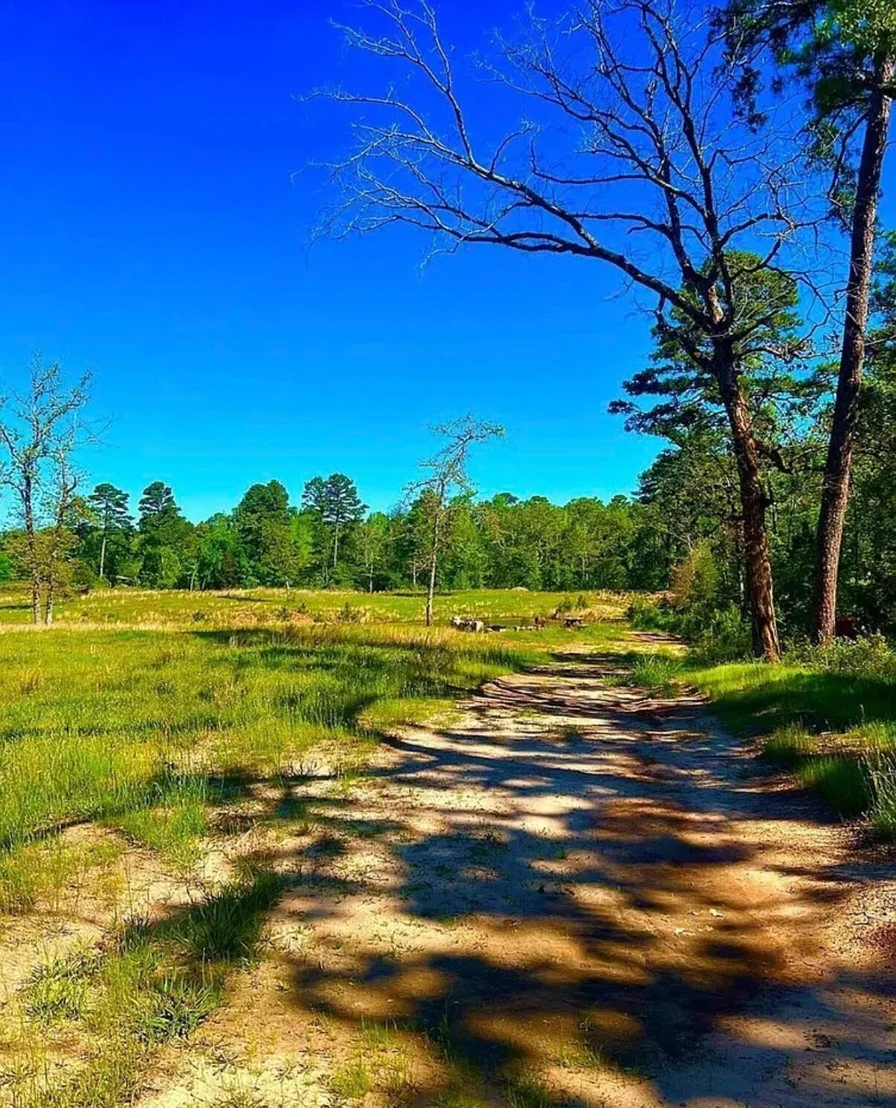 Photo of 868 County Road 2920
