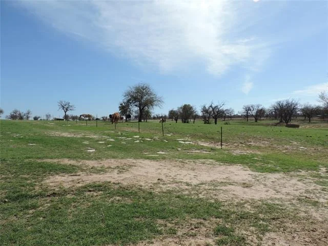 Photo of 1075 County Road 494
