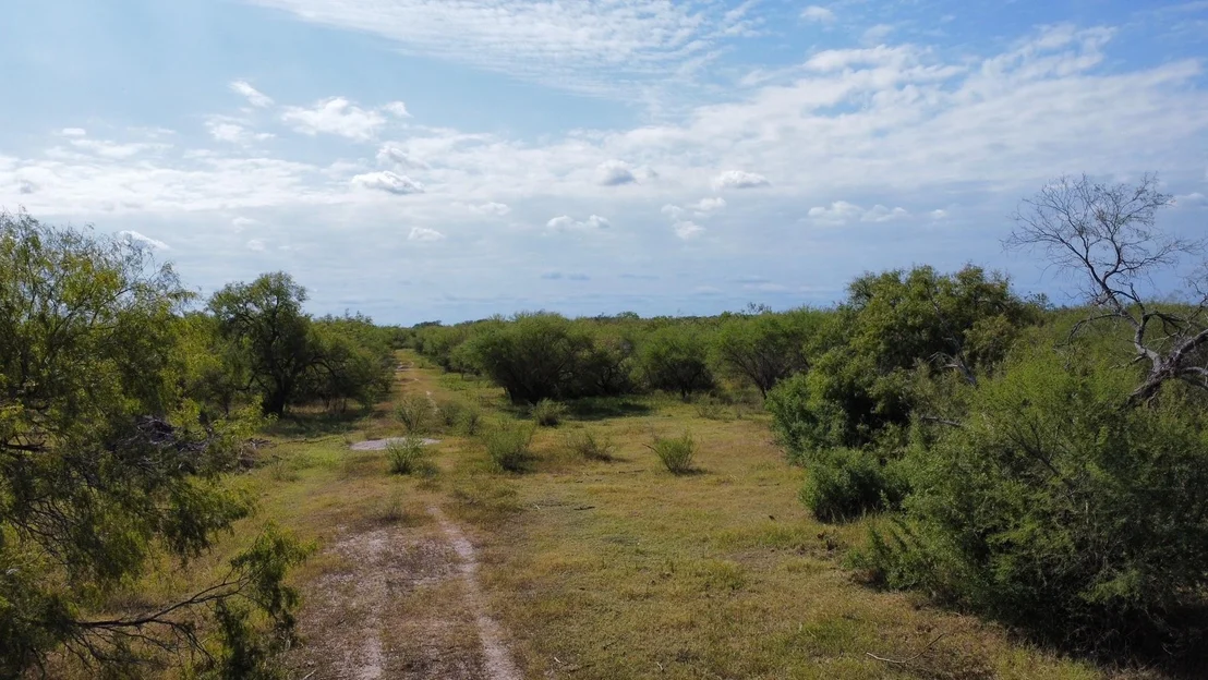 Photo of 14135 County Road 1144