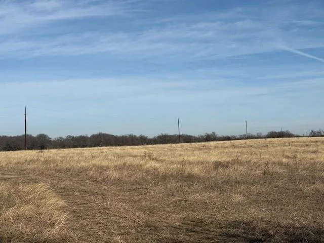 Photo of 363 County Road 4403