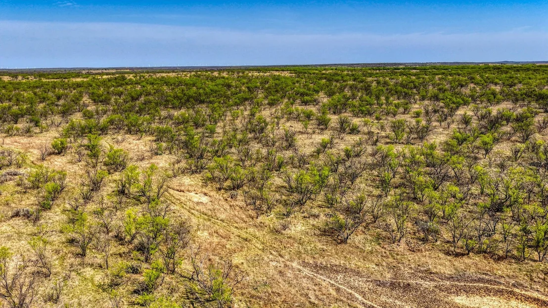 Photo of 5600 Roney Road