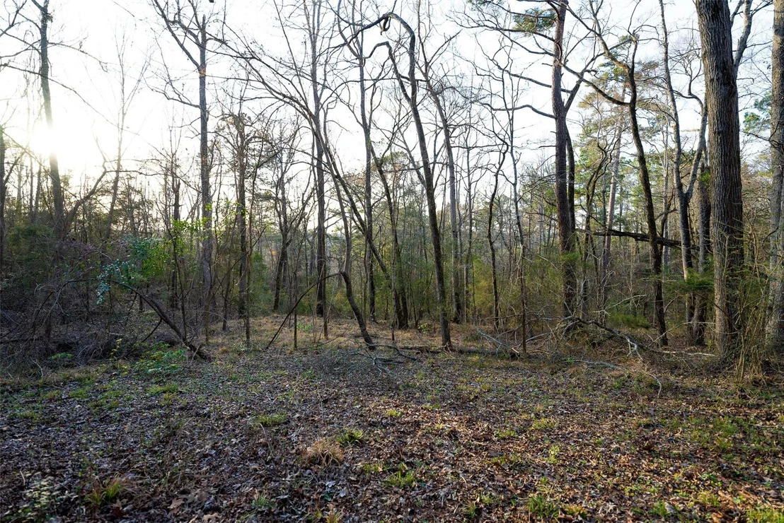 Photo of 2265 County Road 1613