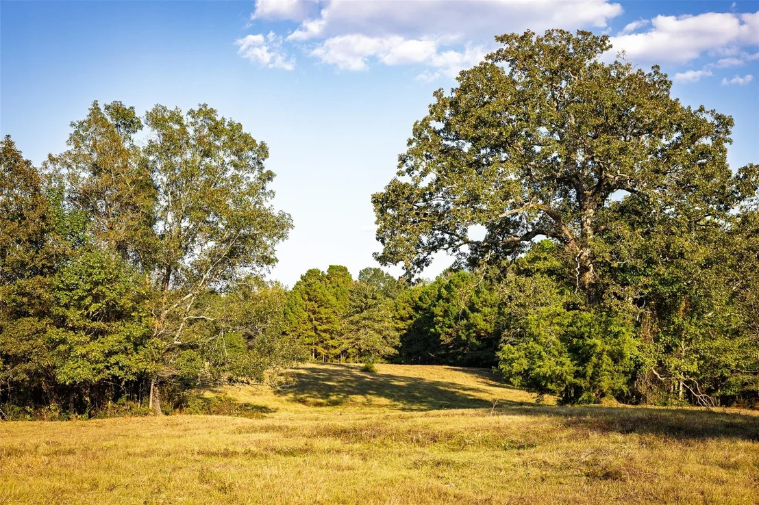 Photo of 973 County Road 2572
