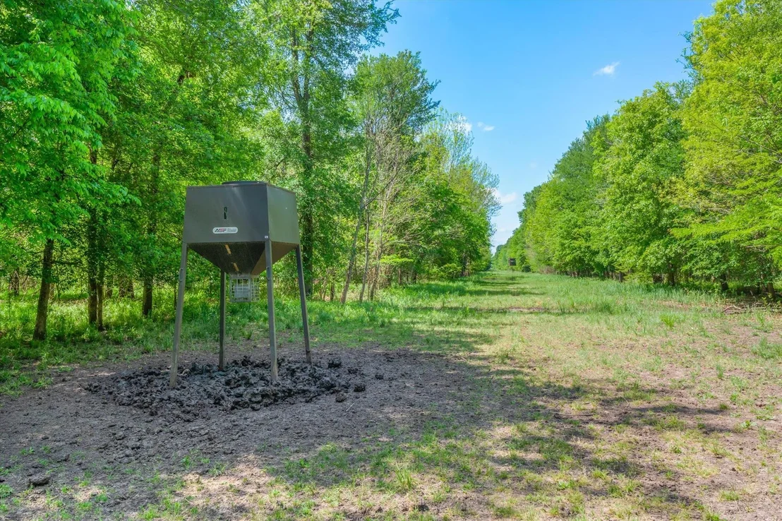 Photo of 1189 VZ County Road 3702