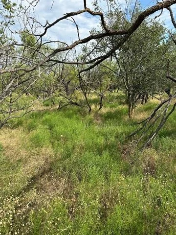 Photo of Tract 19 AC CR 150