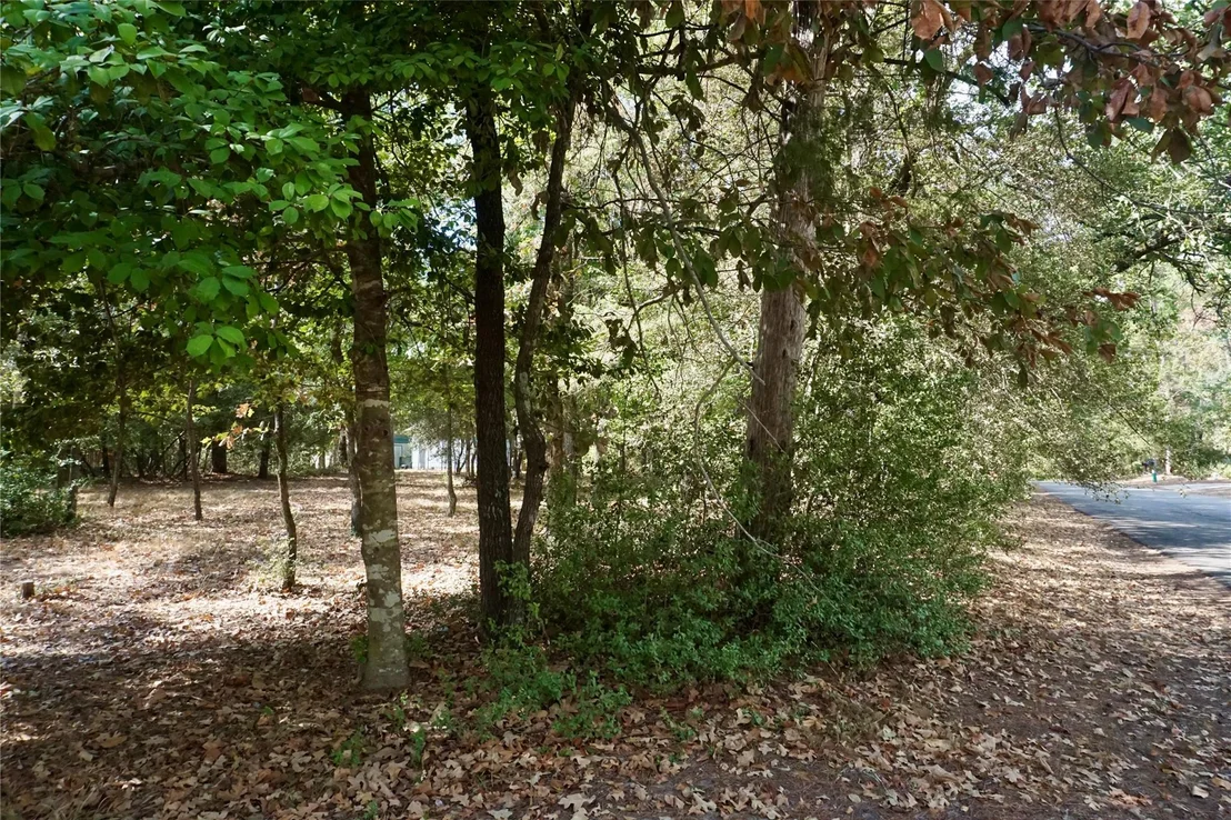 Photo of TBD Lot 146 (Evening Shadows Trail) Trail