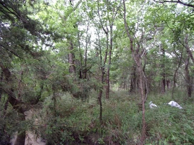 Photo of 4188 Willow Oak Bend
