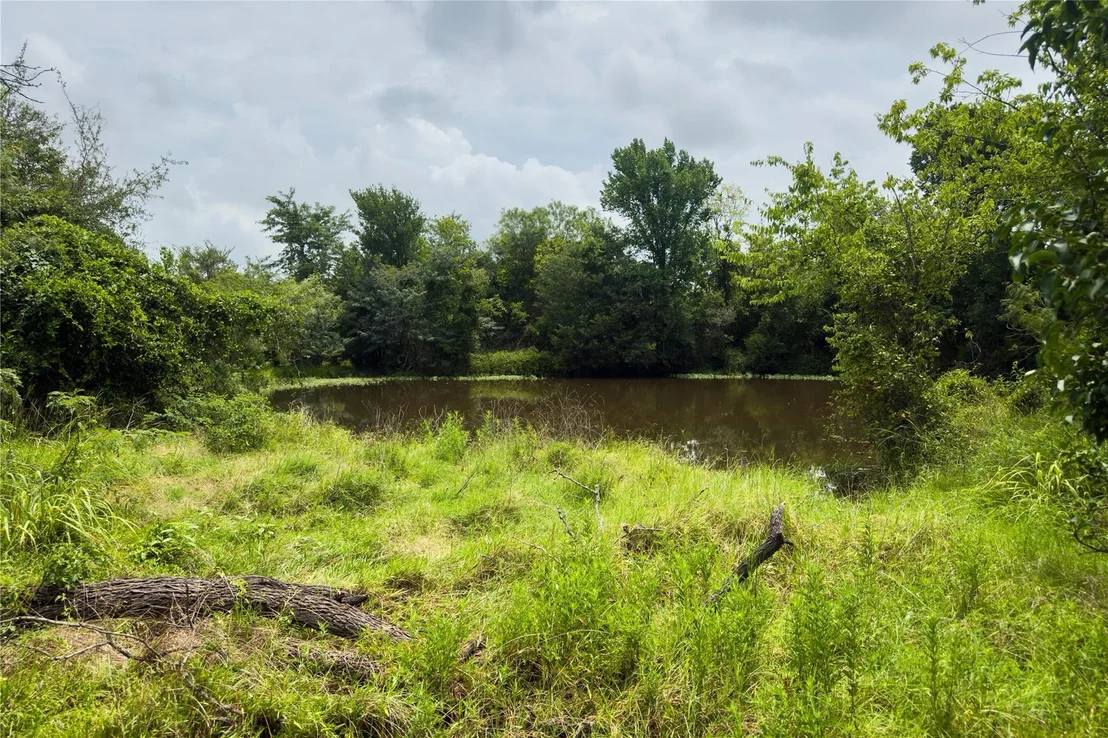 Photo of Lot 9 County Road 173