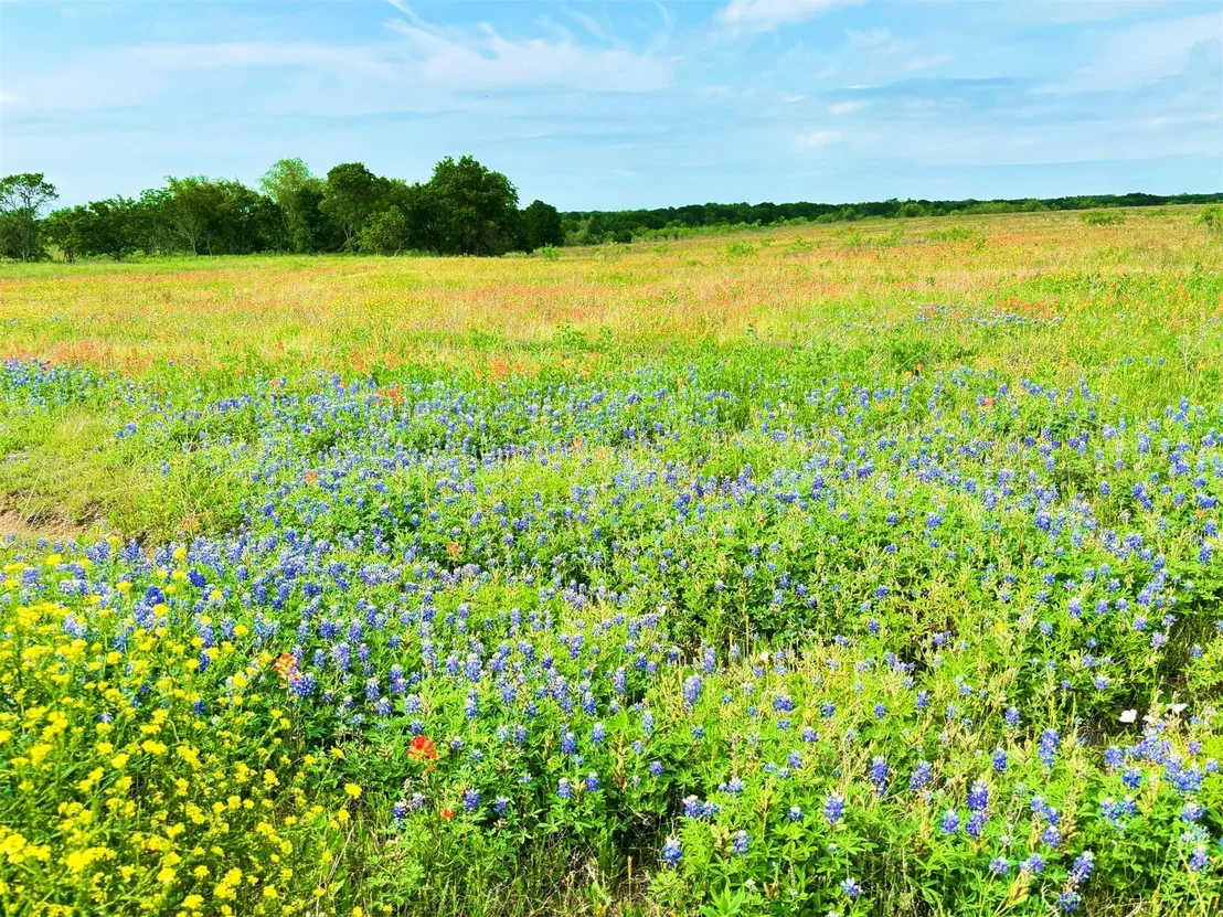 Photo of TBD PR 373 County Road 3373