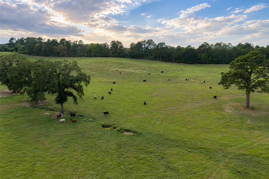 Photo of 3219 County Road 1508