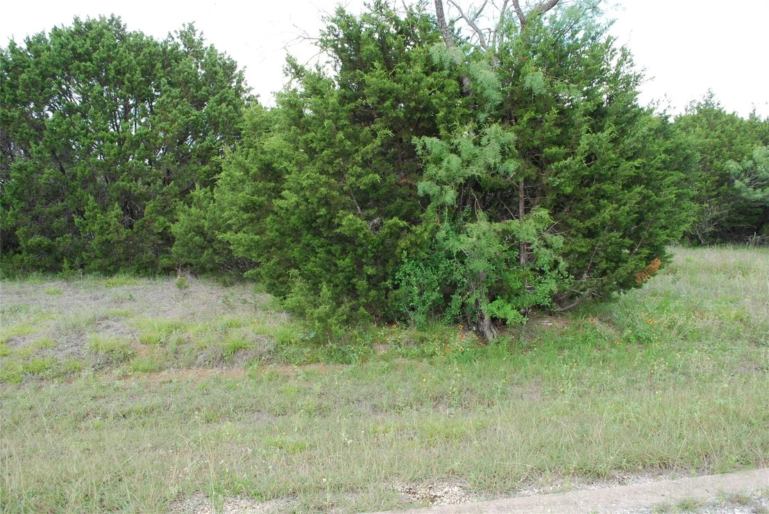 Photo of 23067 Oak Ridge Drive