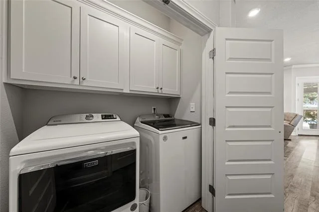 Photo of 225 Swan Lake