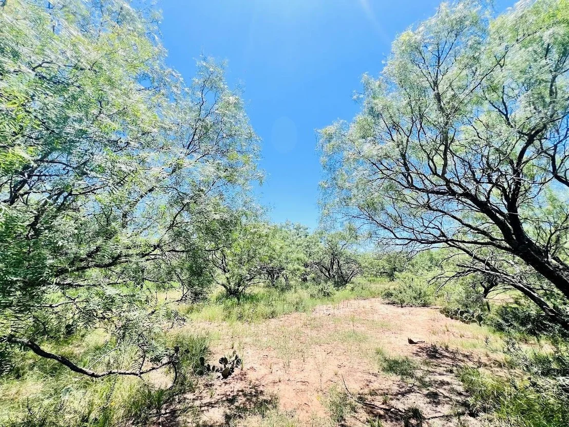 Photo of 1349 County Road 152