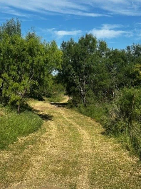 Photo of 575 County Road 442