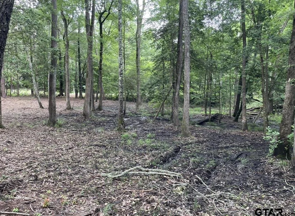 Photo of 1688 County Road 1597