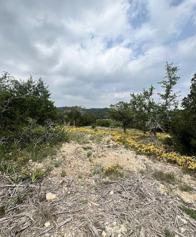 Photo of TBD Tyler Trail