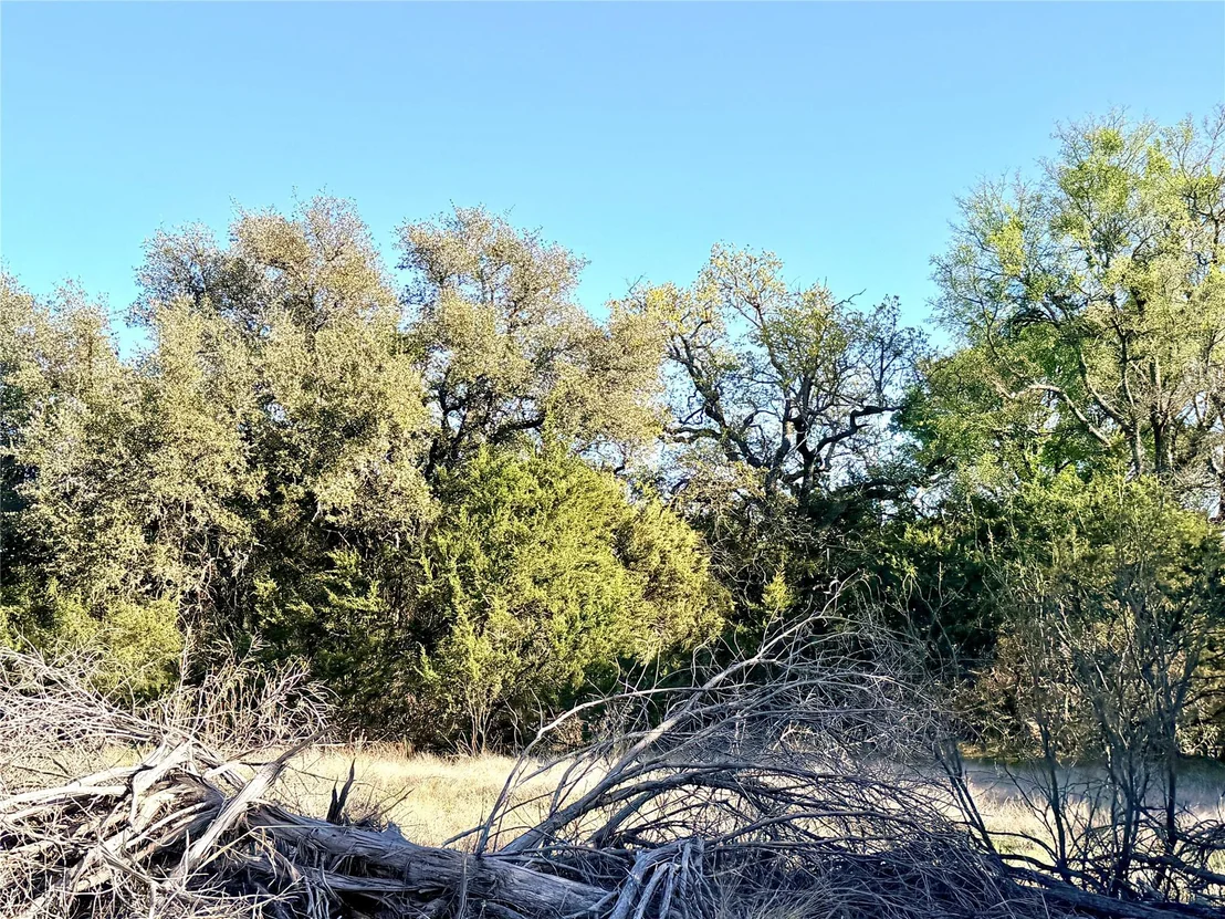 Photo of 65 County Road 406