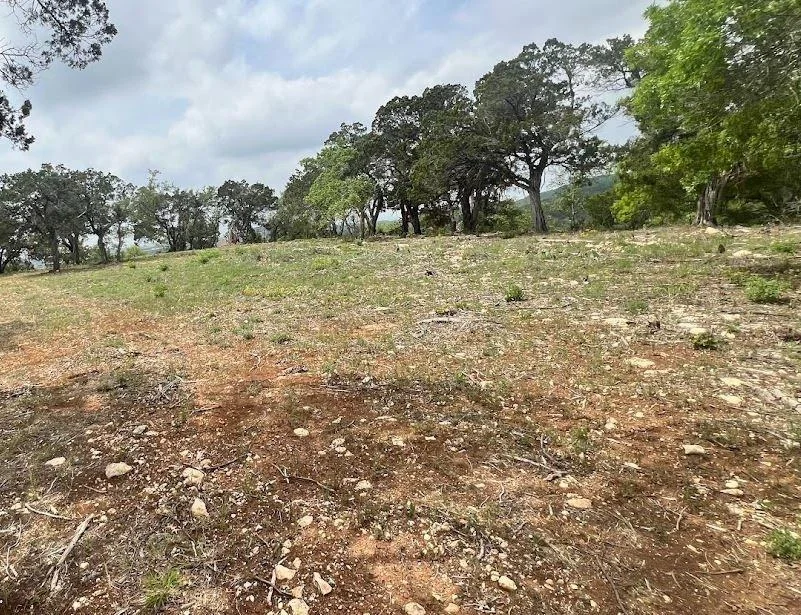 Photo of TBD Tyler Trail