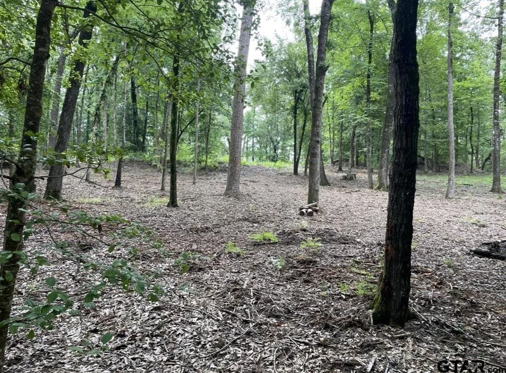 Photo of 1688 County Road 1597