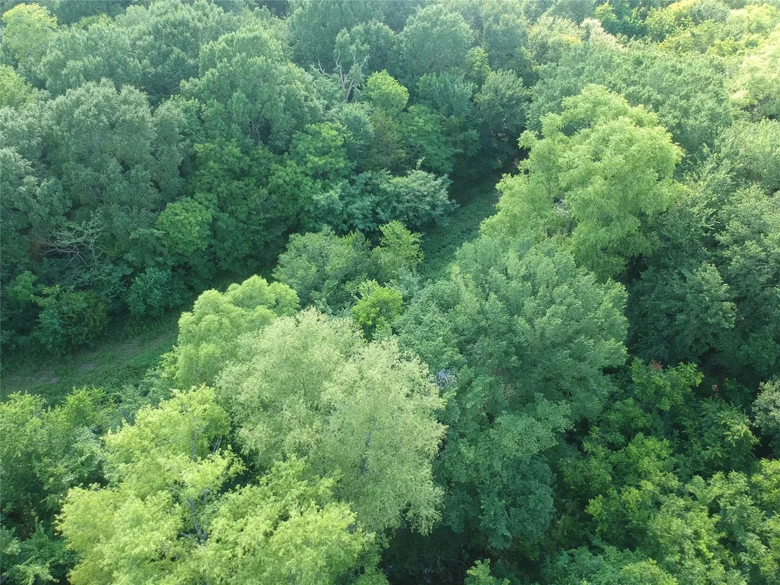 Photo of 19470 County Road 4072